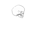 American-Society-of-carniofacial-Surgery